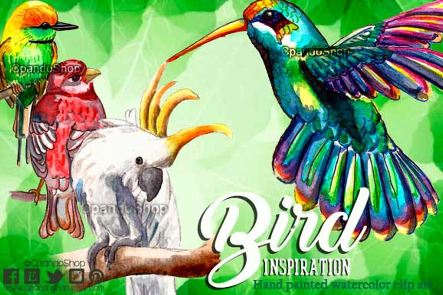 Exotic birds watercolor clip art