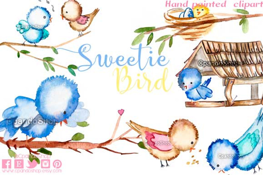 Sweetie bird watercolor clip art
