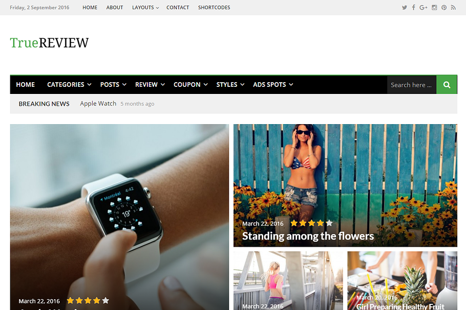 TrueReview WordPress Theme in WordPress Business Themes - product preview 8