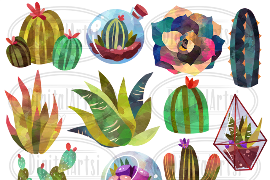 Watercolor Succulents Clipart in Illustrations - product preview 8
