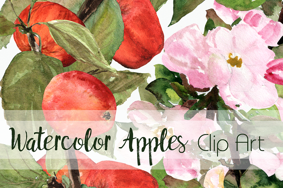 Watercolor Apples ClipArt Collection in Objects - product preview 8