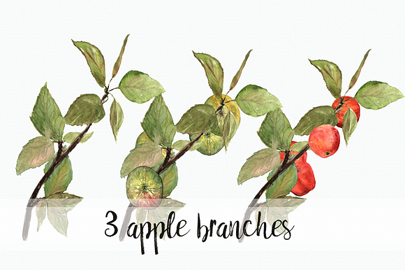 Watercolor Apples ClipArt Collection in Objects - product preview 4