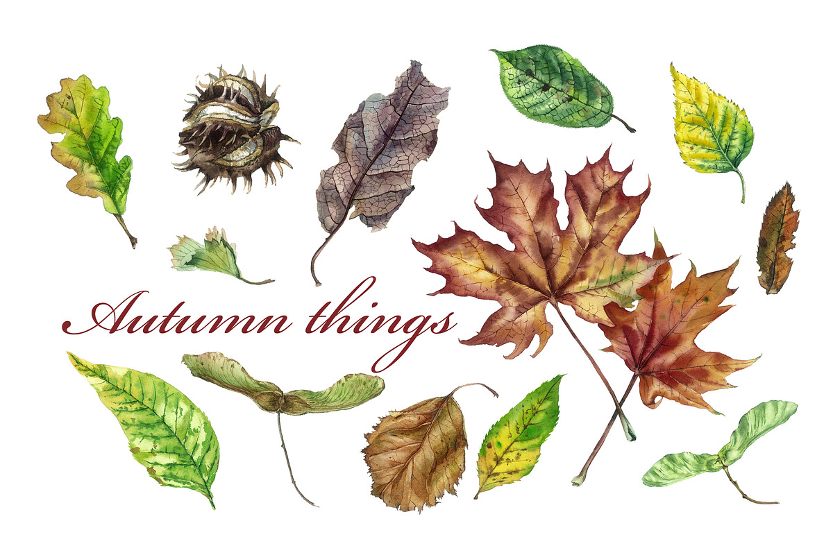 Autumn things in Illustrations - product preview 8