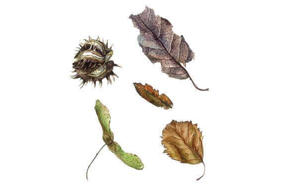 Autumn things in Illustrations - product preview 2