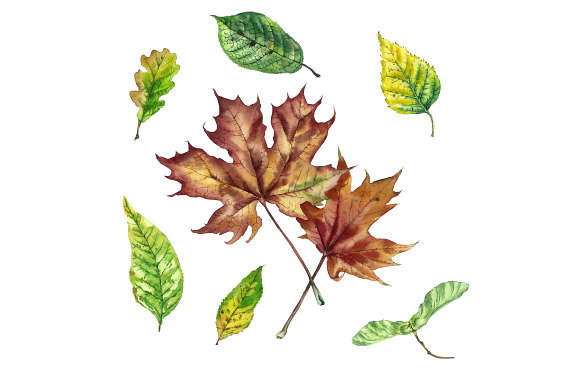 Autumn things in Illustrations - product preview 4
