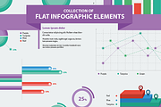 Flat Infographic Elements Collection