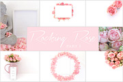 Rocking Rose Collection - Part 1
