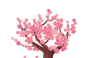 Sakura Tree Isolated. Cherry Blossom