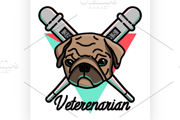 Color vintage veterinarian emblem