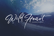 Wild Heart - Brush Font Set 40% OFF