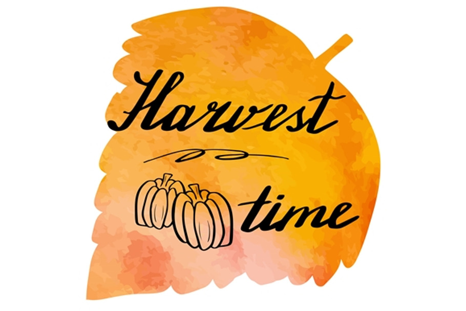 5 Autumn hand lettering designs in Illustrations - product preview 8