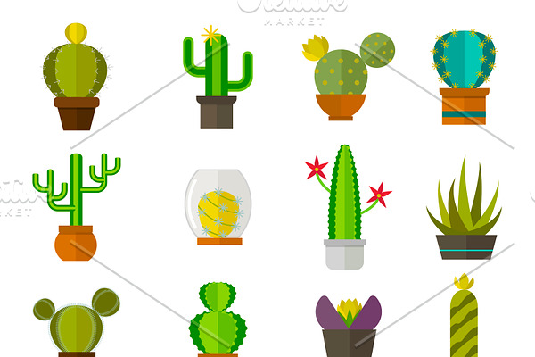 Vector nature cartoon cactus