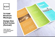Tri-Fold Brochure / Flyer Mock-up's