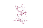 Frencg bulldog puppy illustration