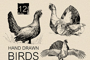 12 Hand drawn birds