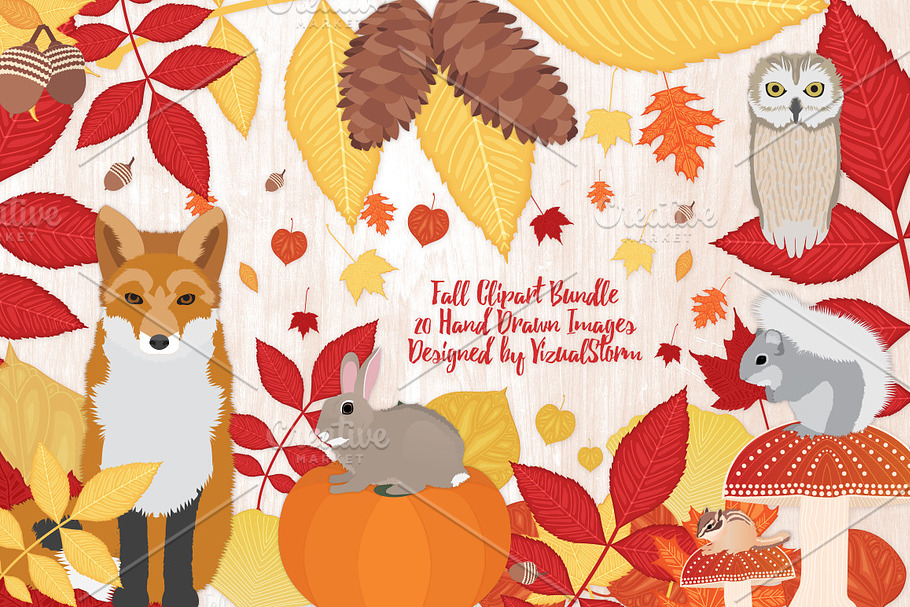 Fall Woodland Forest Animals