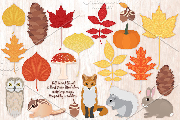 Fall Woodland Forest Animals in Illustrations - product preview 1