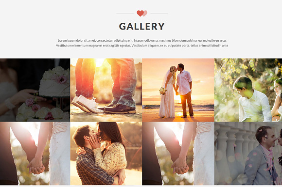 Amore: WordPress Wedding Theme in WordPress Wedding Themes - product preview 5