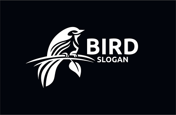 Bird in Logo Templates - product preview 1