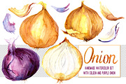 Layered watercolor onions set