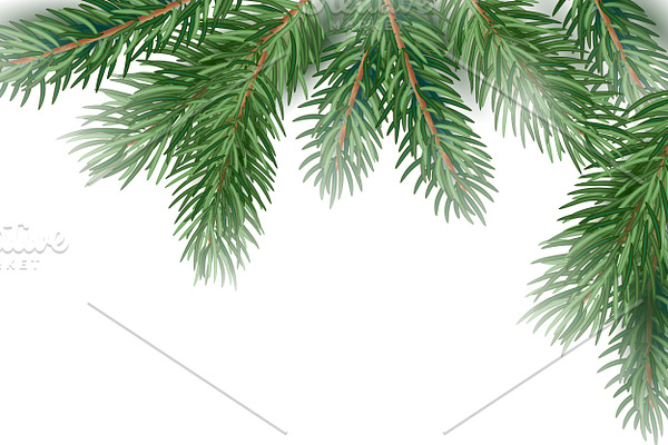 Fir Tree Branches background.
