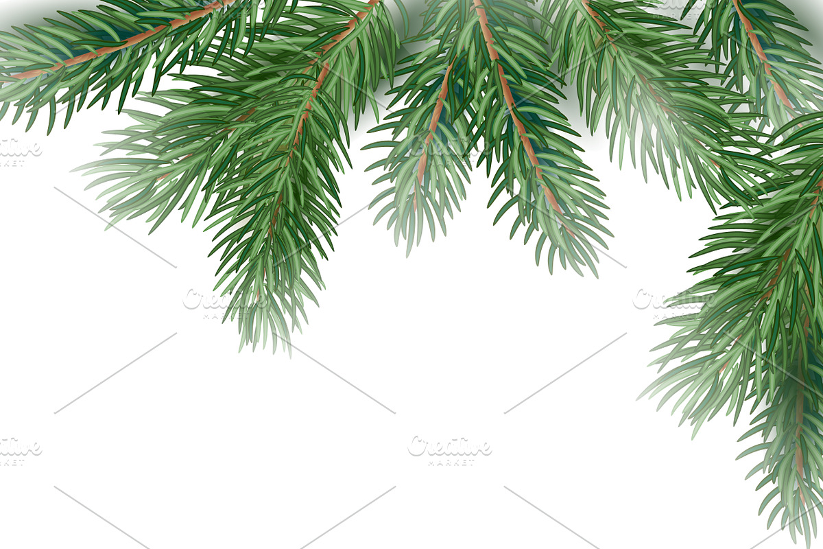 Fir Tree Branches background. in Illustrations - product preview 8