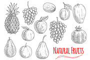 Natural fruits sketches