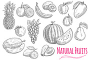 Fruits isolated sketches