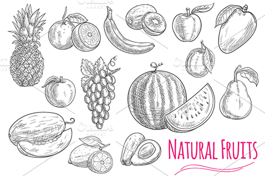 Fruits isolated sketches in Graphics - product preview 8