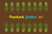 Peacock feather set collection.