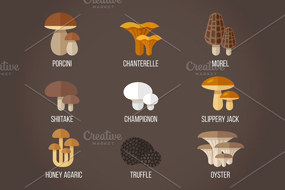 Edible mushrooms in Objects - product preview 8