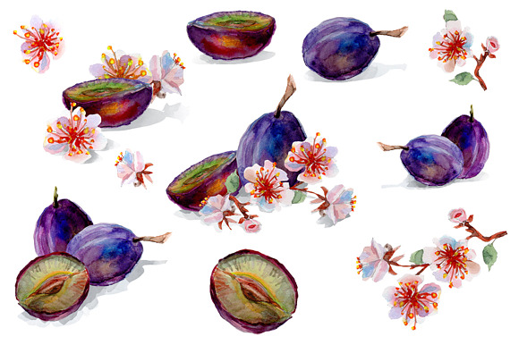 Set of watercolor fruits and flowers in Illustrations - product preview 1