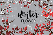 Winter flower Hand Drawn Vector Set
