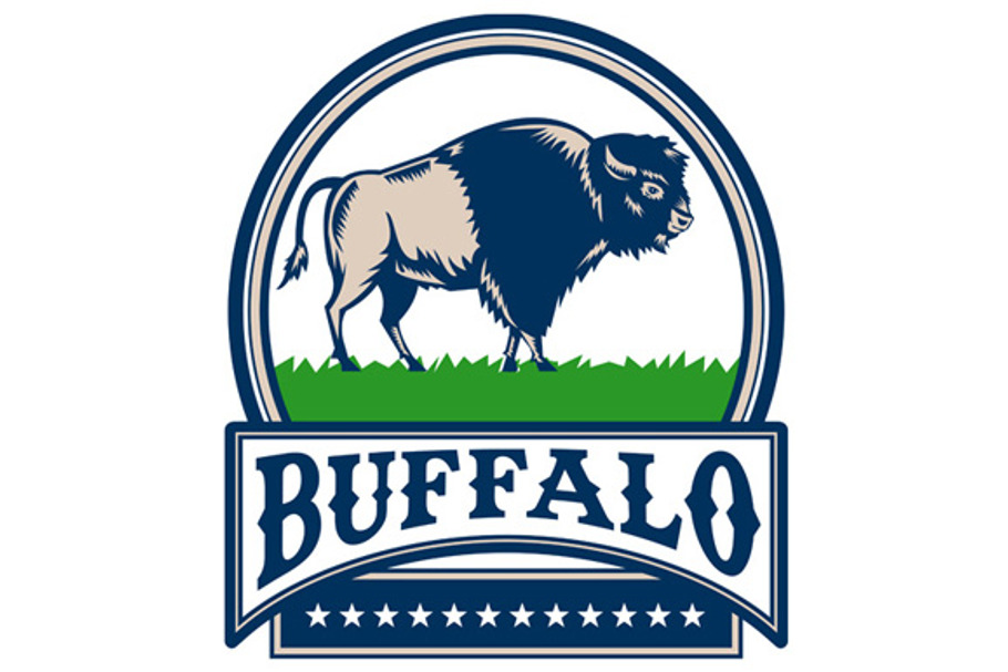 American Bison Buffallo Banner 