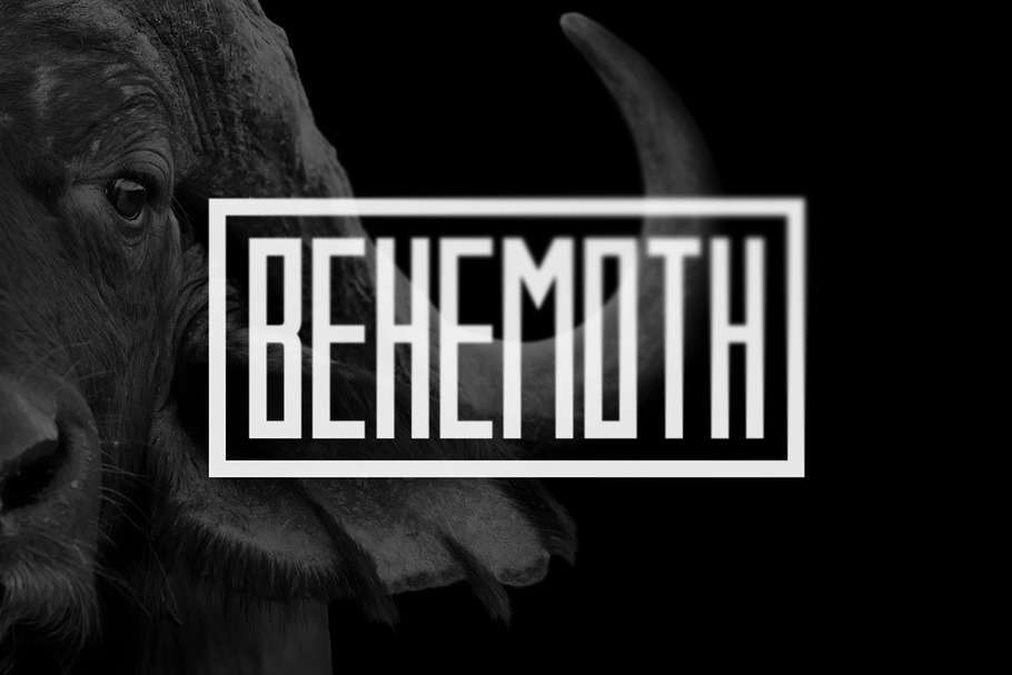 Behemoth Typeface in Fonts - product preview 8