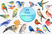 set of watercolor birds