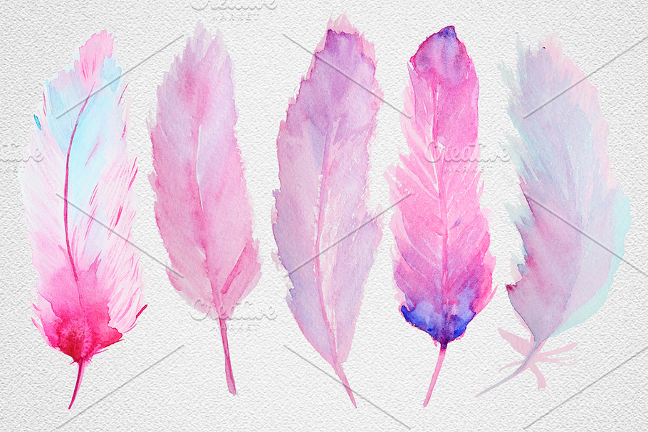 Feather set2 in Illustrations - product preview 8
