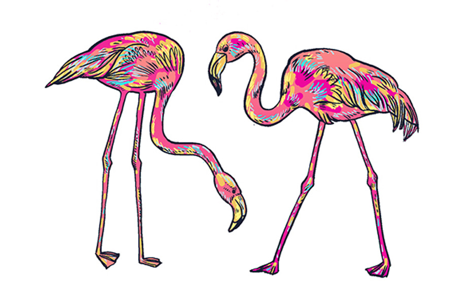 FLAMINGO in Illustrations - product preview 8