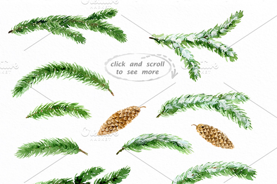 Conifer Branches Watercolor clipart in Illustrations - product preview 8