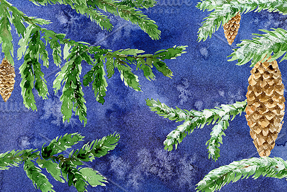 Conifer Branches Watercolor clipart in Illustrations - product preview 1
