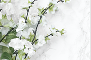 White Blooms & Marble Styled Stock