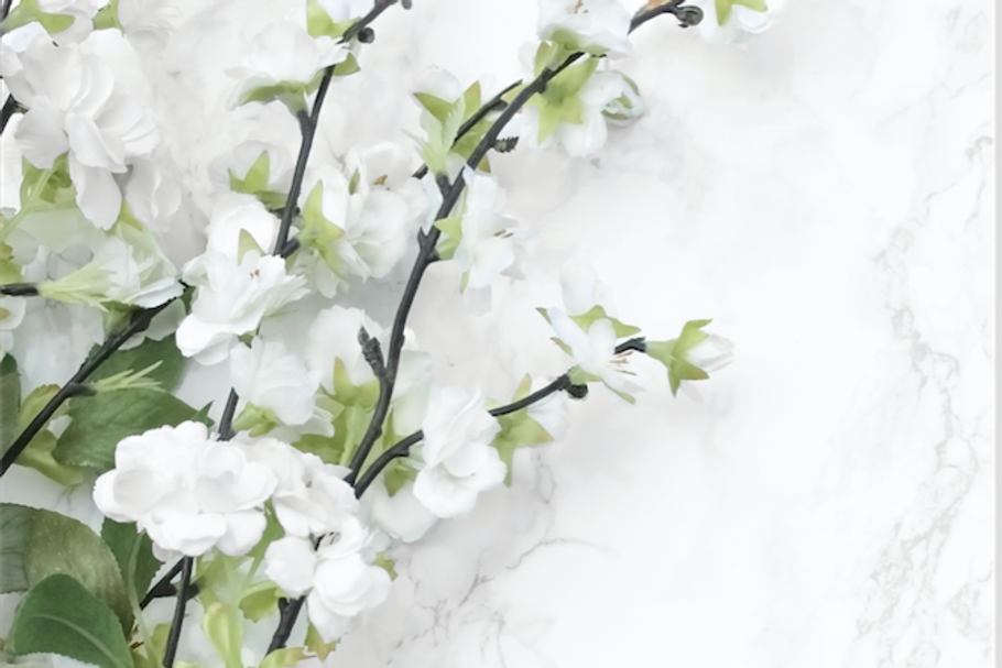 White Blooms & Marble Styled Stock