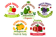 Fresh fruits icons and emblems
