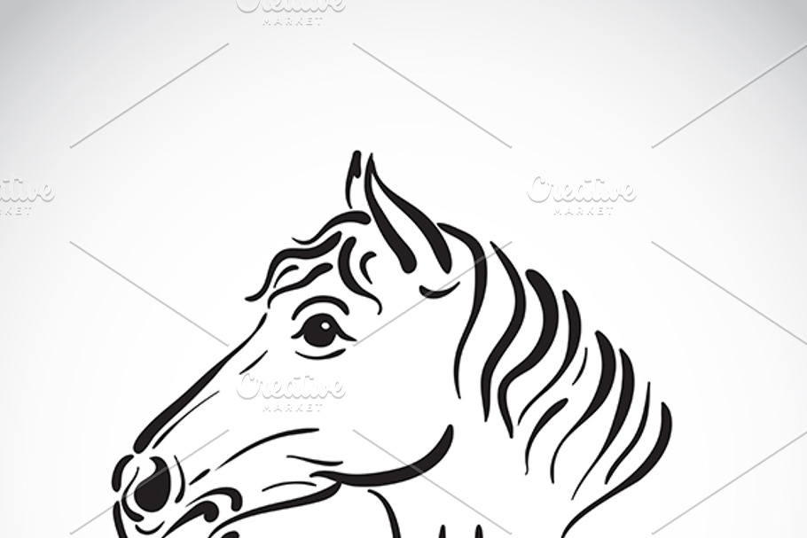 Vector of hand sketch a horse head. in Graphics - product preview 8