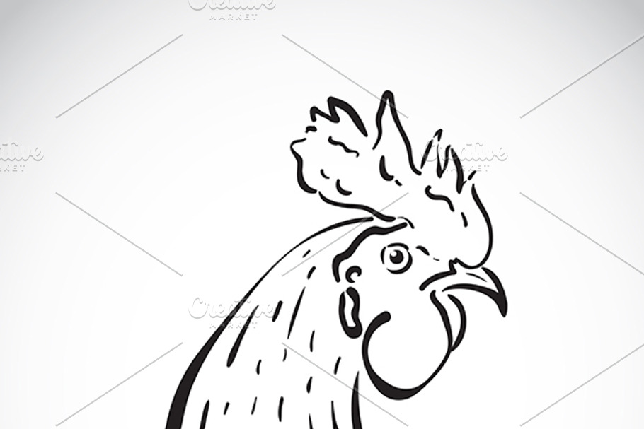 Vector of hand sketch a cock head. in Graphics - product preview 8