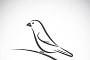 Vector of ricebird. Bird Icon.