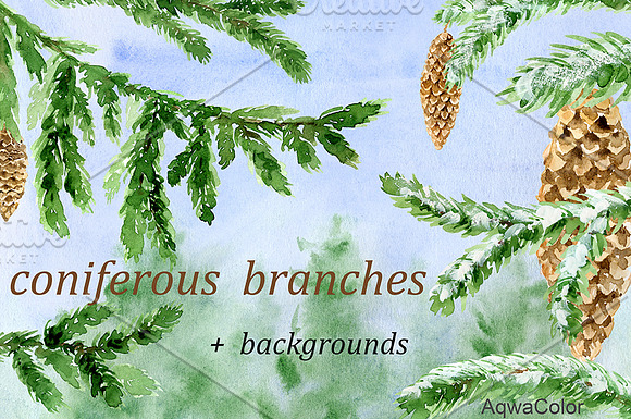 Conifer Branches Watercolor clipart in Illustrations - product preview 2