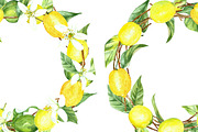 watercolor lemon set