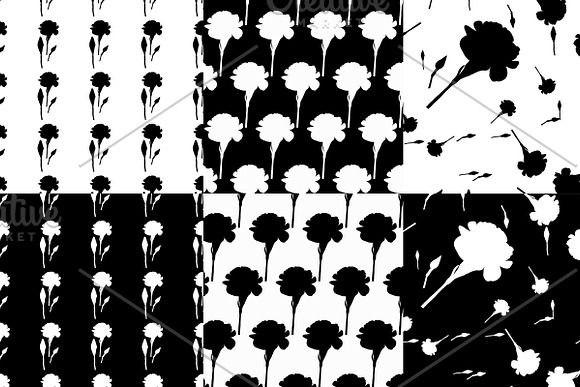 №197 Floral  carnation background in Illustrations - product preview 2