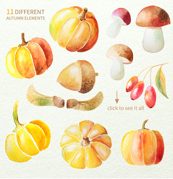 Watercolor Autumn BUNDLE in Graphics - product preview 6